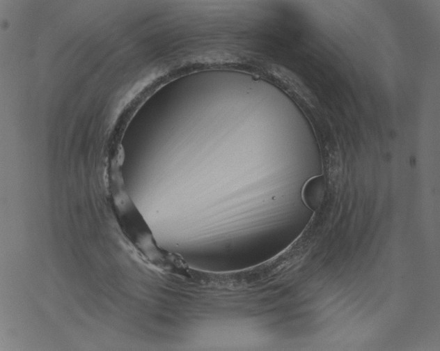 X0000077350727200611031820