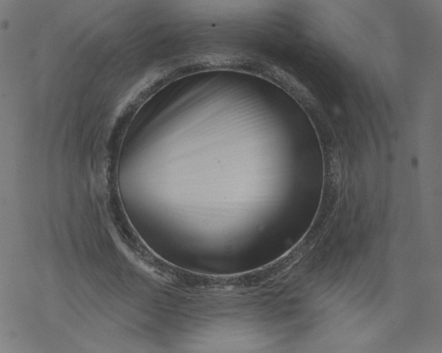 X0000077350730200611031820