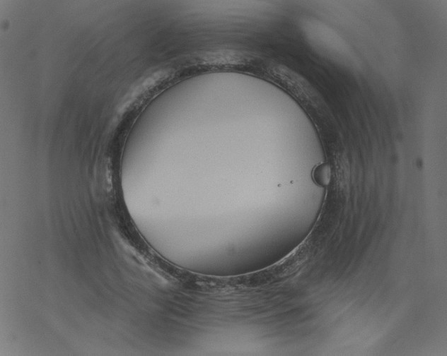 X0000077350731200611031820