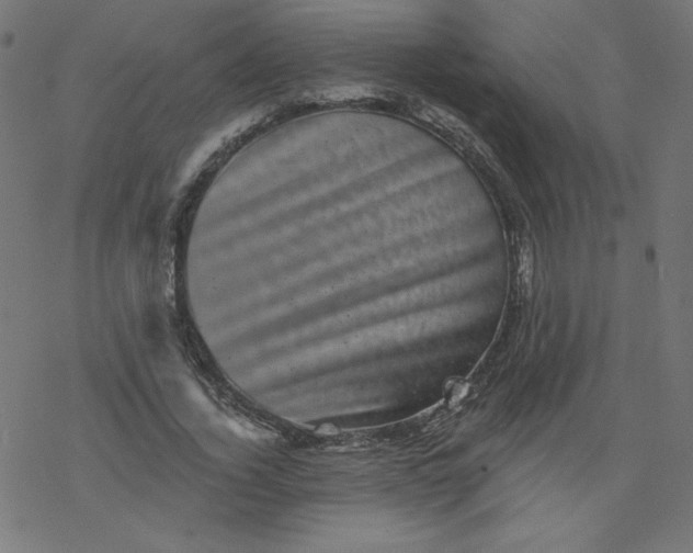 X0000077350732200611031820