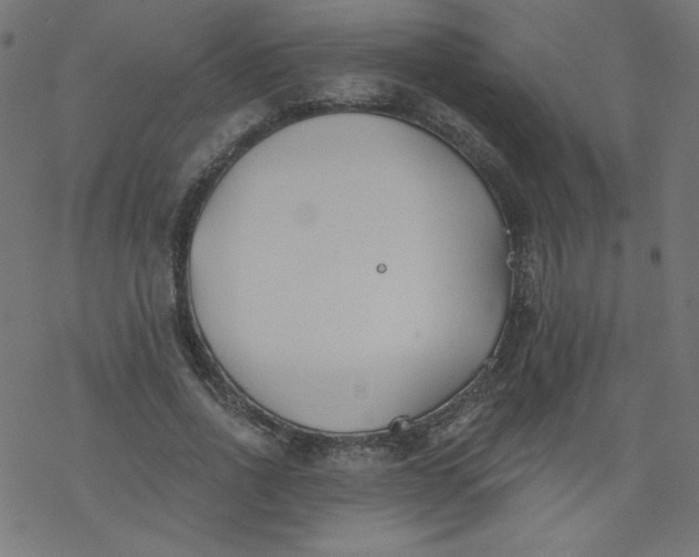 X0000077350734200611031820