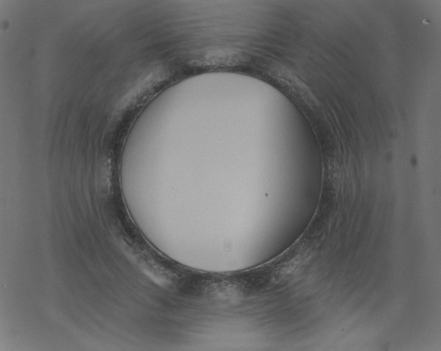 X0000077350735200611031820