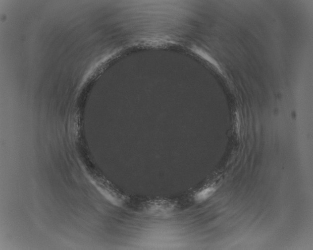 X0000077350736200611031820