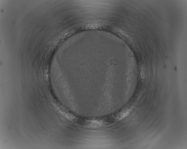 X0000077350737200611031820