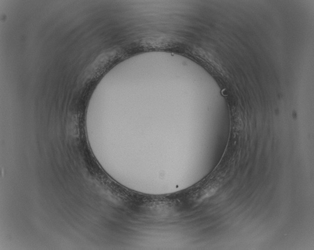 X0000077350738200611031820