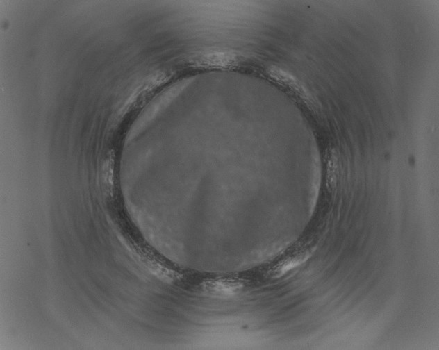 X0000077350739200611031820