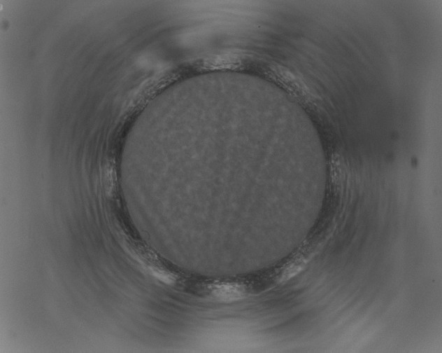 X0000077350741200611031821