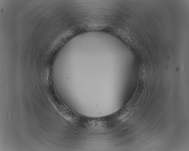 X0000077350742200611031821