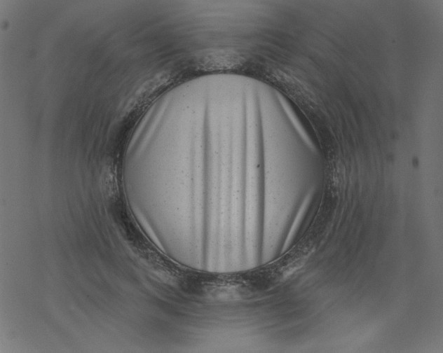 X0000077350743200611031821