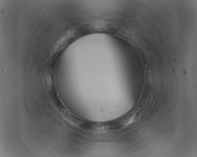 X0000077350746200611031821