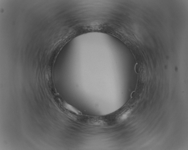 X0000077350747200611031821