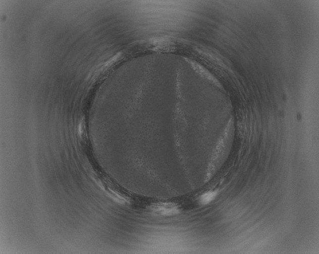 X0000077350748200611031821