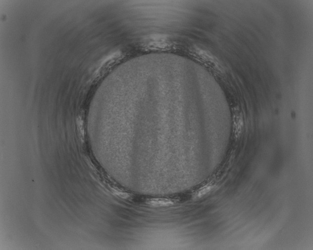 X0000077350749200611031821