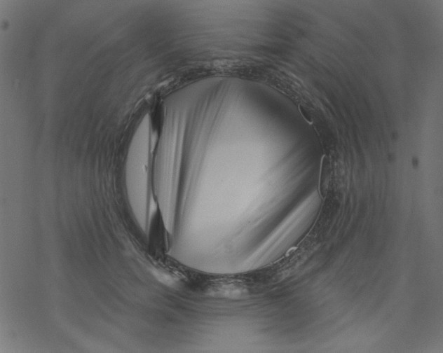 X0000077350750200611031821