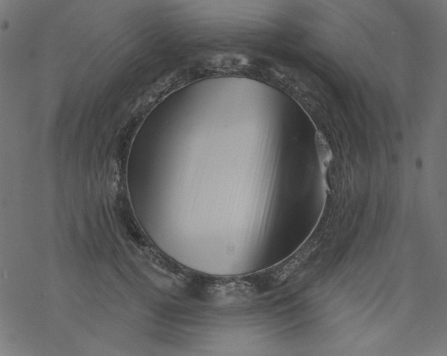 X0000077350752200611031821