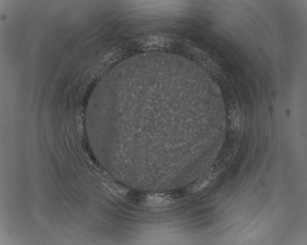 X0000077350753200611031821