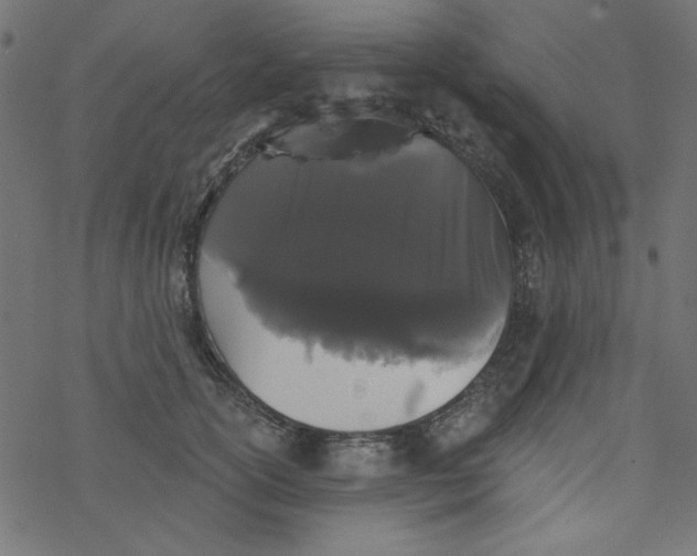 X0000077350754200611031821