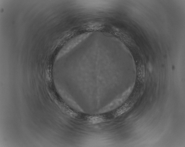 X0000077350755200611031821