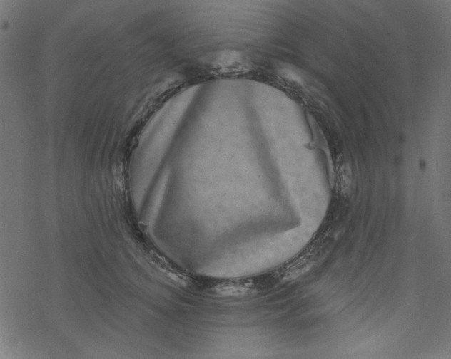 X0000077350756200611031821