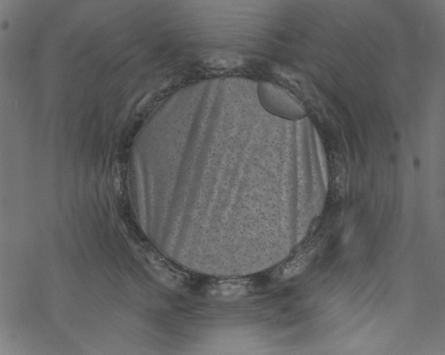 X0000077350758200611031821