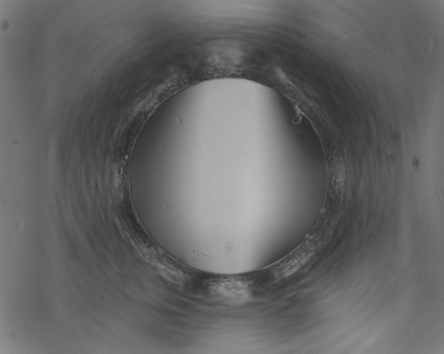 X0000077350759200611031821