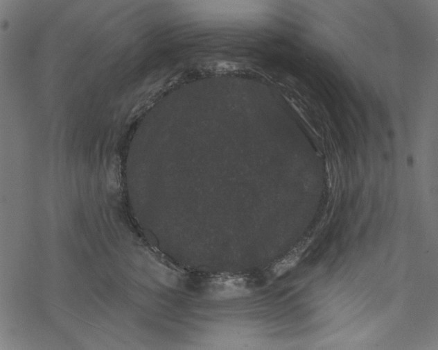 X0000077350760200611031821