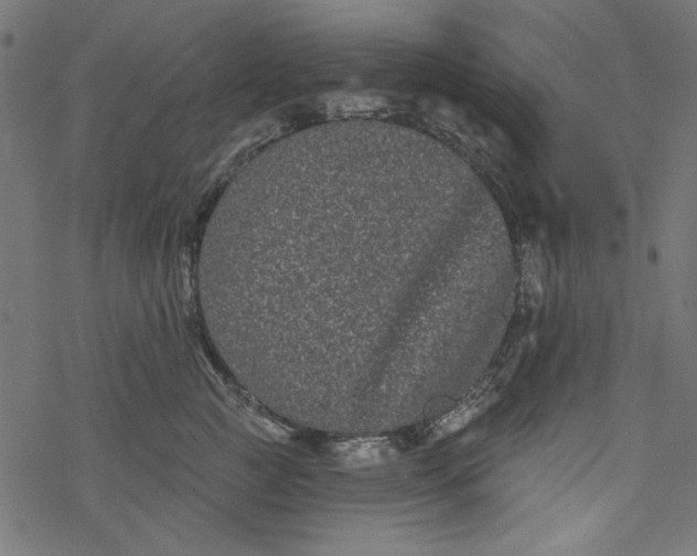 X0000077350761200611031821