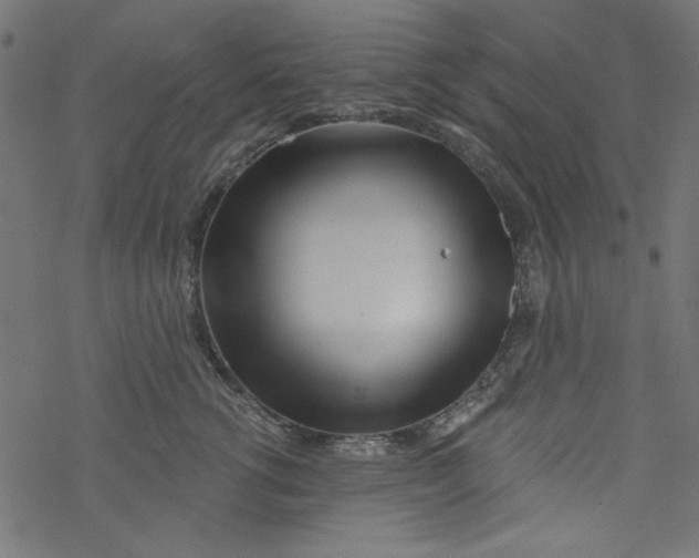 X0000077350762200611031821