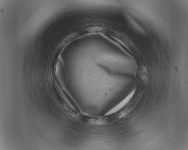 X0000077350763200611031821