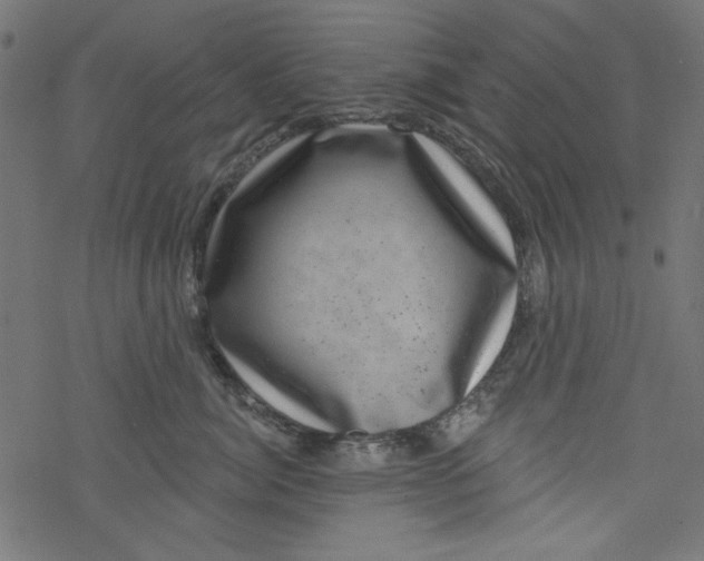 X0000077350764200611031821