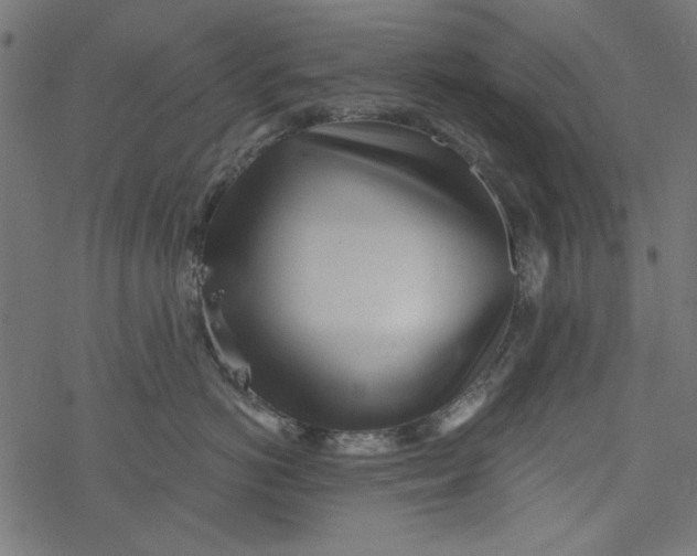 X0000077350766200611031821