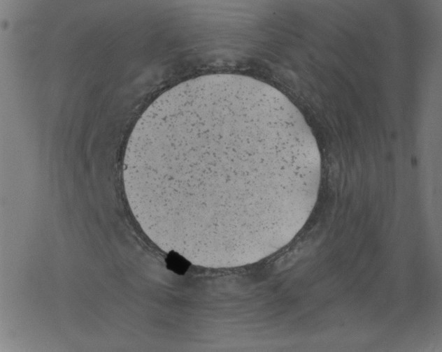 X0000077350769200611031820