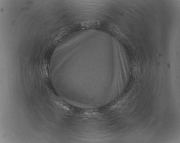 X0000077350770200611031820