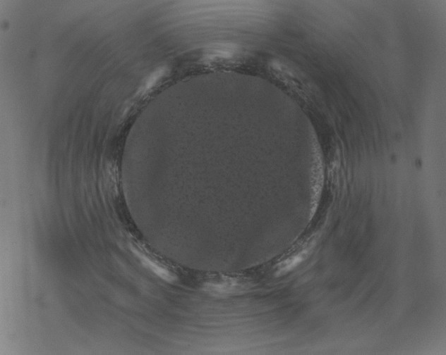 X0000077350772200611031820