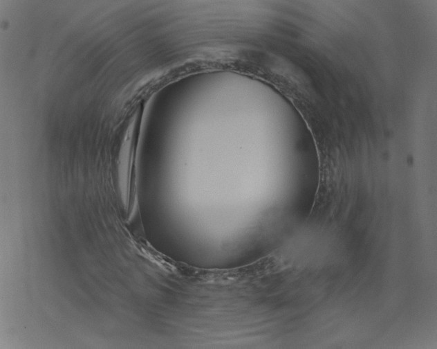 X0000077350773200611031820