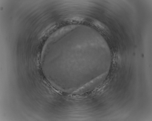 X0000077350774200611031820