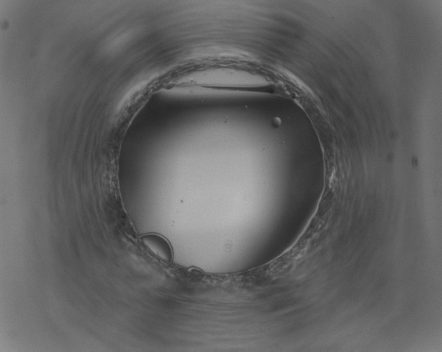 X0000077350775200611031820