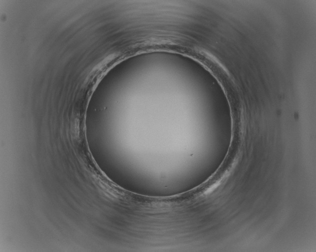 X0000077350777200611031820