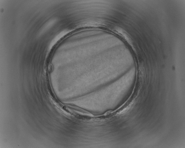 X0000077350779200611031820