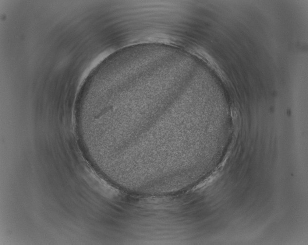 X0000077350780200611031820