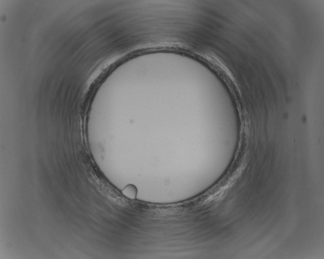 X0000077350781200611031820