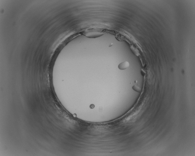 X0000077350782200611031820