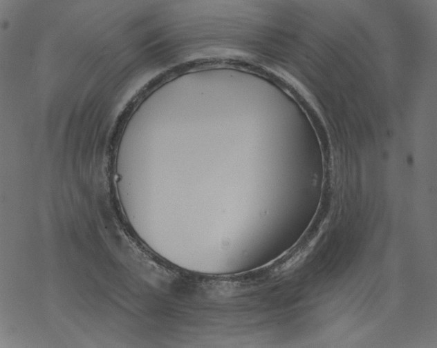 X0000077350783200611031820