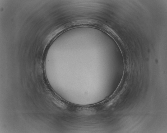 X0000077350786200611031820