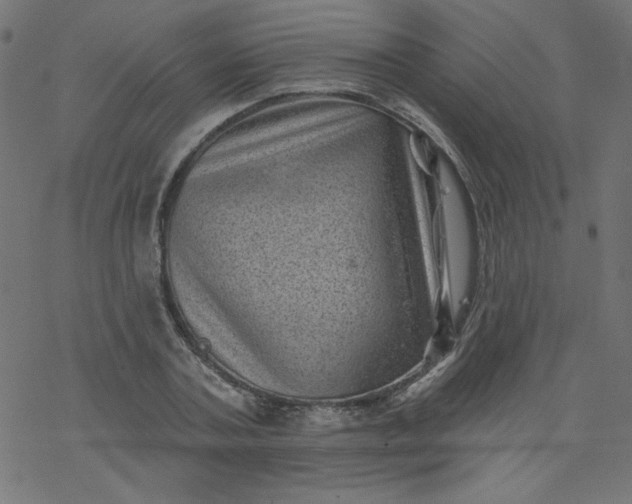 X0000077350787200611031820