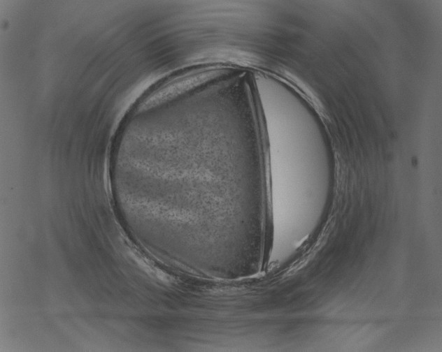 X0000077350788200611031820