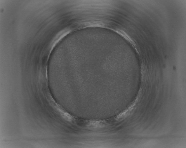 X0000077350790200611031820