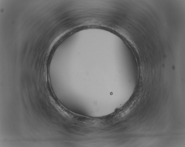 X0000077350791200611031820