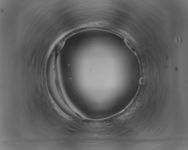 X0000077350792200611031820