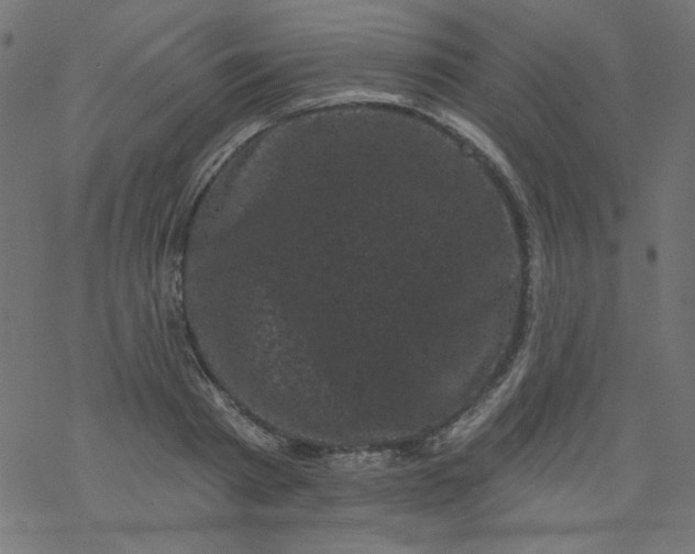 X0000077350793200611031820